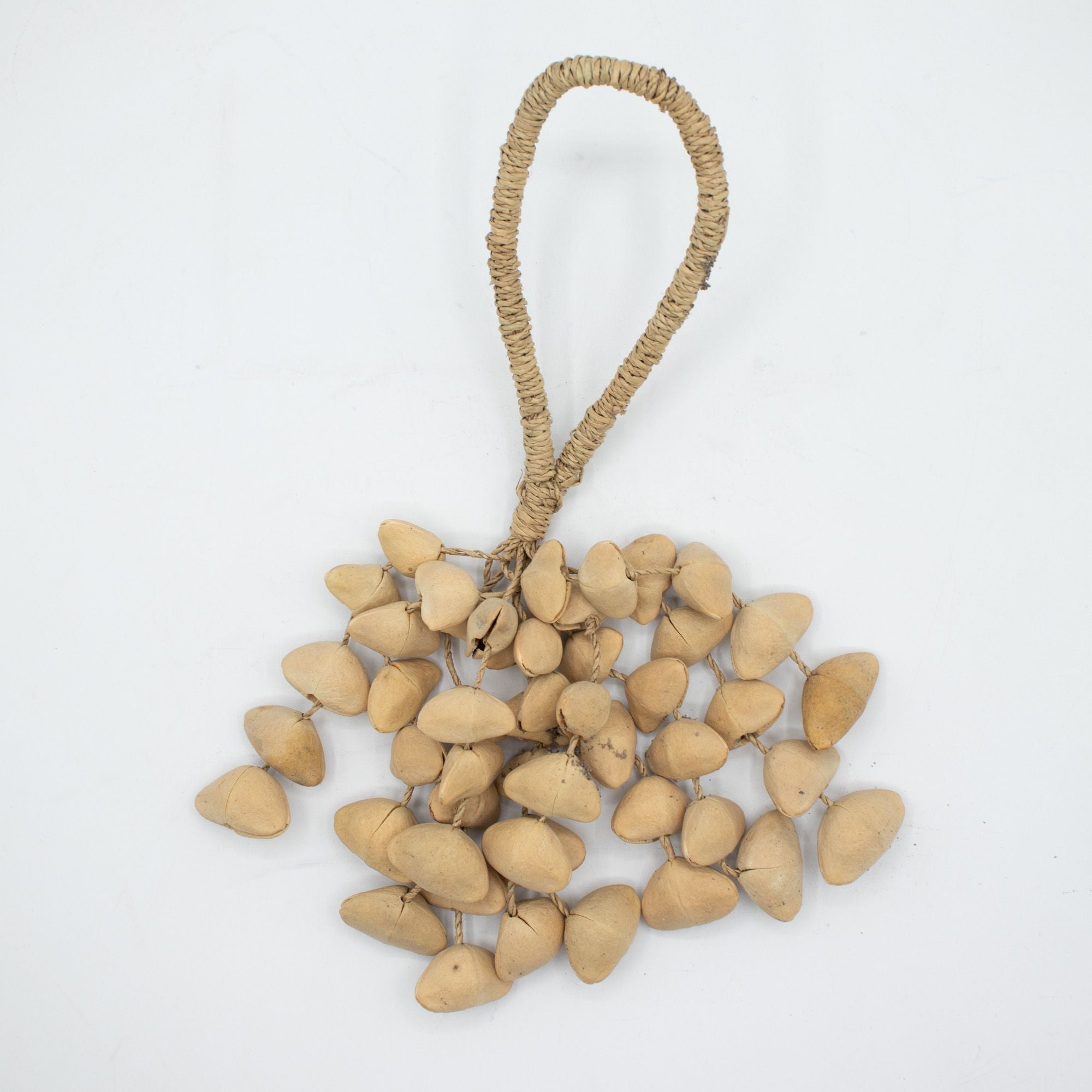 Kenari Shell Long Rattle (50 Shells) - Irama Nusa