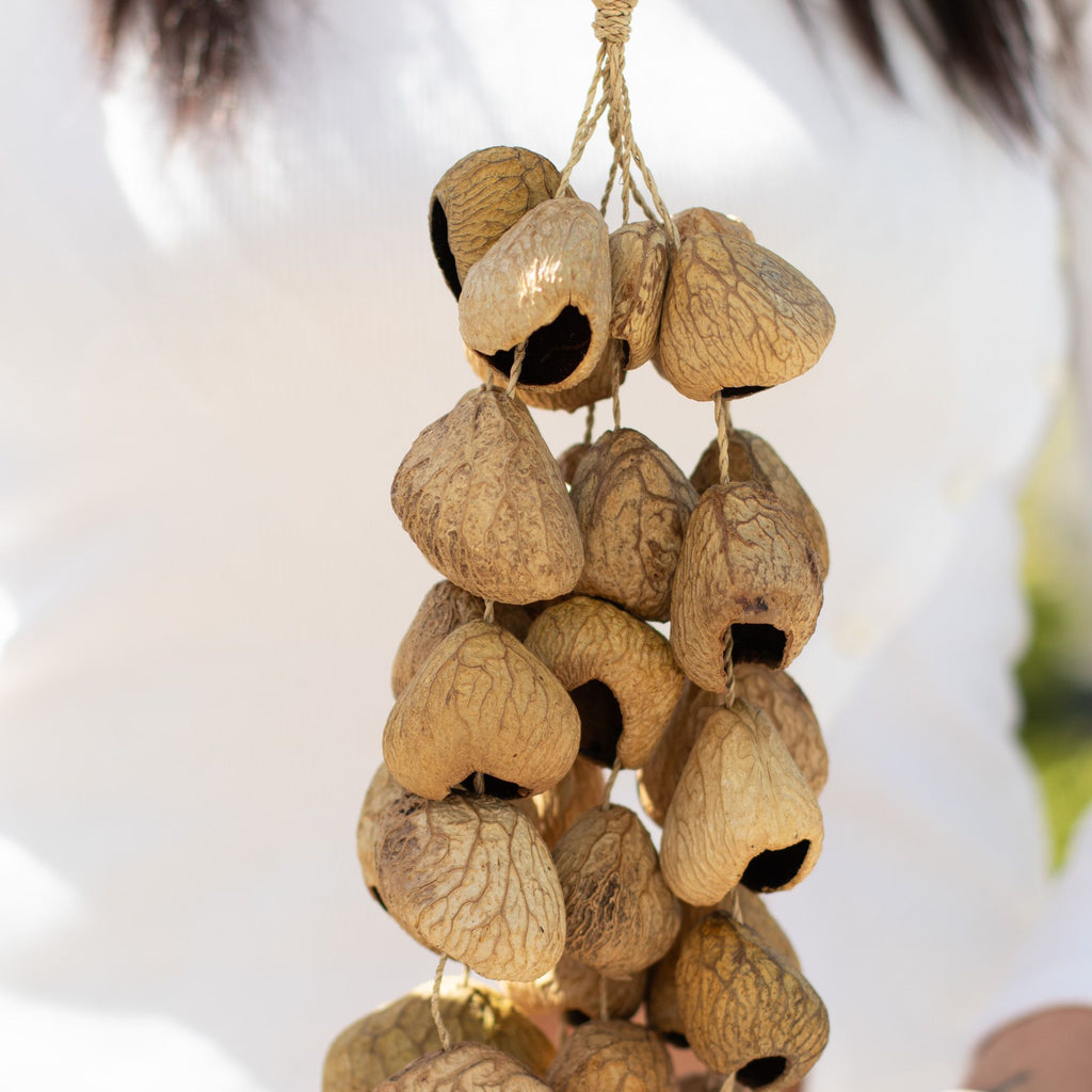 Kenari Shell Long Rattle (50 Shells) - Irama Nusa